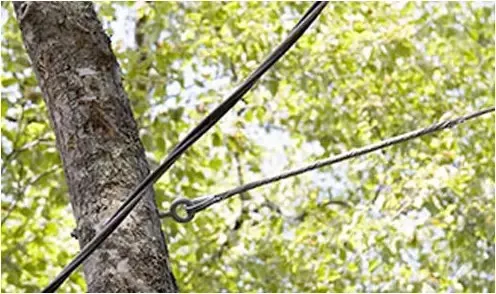 Cable Bracing Top Tree Service